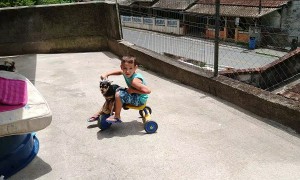 Dog Shares Bike With Boy