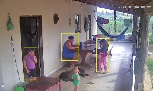 Baby Tries To Ride The Dog