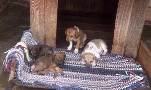 When Mom Wants Some Personal Space