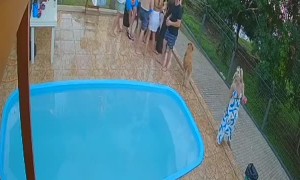 Woman Accidentally Walks Off Platform