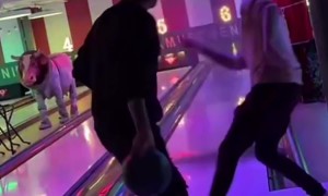 Bowling Ball Breaks Water Pipe