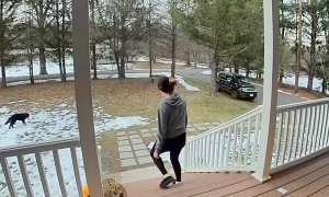 Gagging Over Dog's Froggy Snack