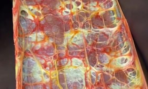 Freeze-Dried Candy Chaos