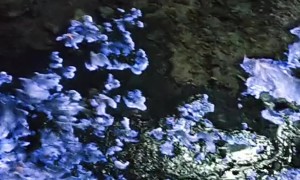 Blue Fire at Ijen Volcano Crater