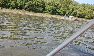 Saving Pigeons From Bridge Demolition