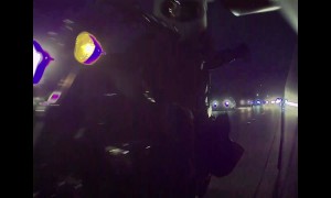 Bunny Biker Punches Tesla's Passenger Mirror