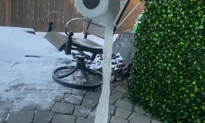 Frozen Toilet Paper Roll Defies Gravity