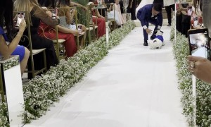 Most Beautiful Ring Bearer in Brazil