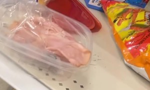 Picnic in a Target Aisle