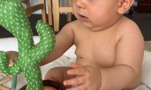 Dancing Talking Cactus Toy Scares Baby