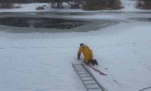 Firefighter rescues dog from icy lake
