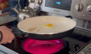 Flying Egg Slam-Dunked Back Into Frying Pan