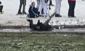Skier Faceplants at the Bottom of the Slope