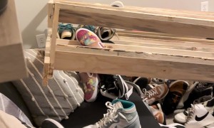 Dog Pulls Down Shelf Full of Shoes