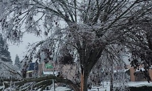 Ice Storm Goes Too Far Man