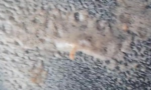 Soda Can Left In Car Exploded In Cold Weather