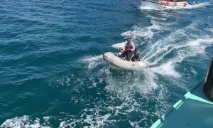 Delivery Driver Serious About His Job