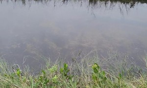 Why Polarized Sunglasses Are Important