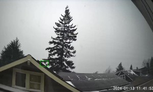 Tall Tree Crashes On Oregon House