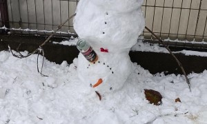 Never Leave  Your Snowman Alone With a Whiskey Bottle