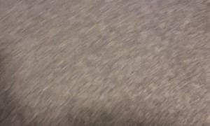 Toddler is Content in Air Jail