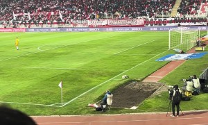 Stray Dog Disrupts Pro Soccer Match to Help Water the Grass