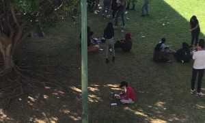 Dog Fleeing Hoop Bumps Into Student