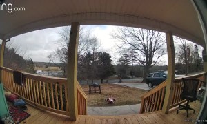 Is It Too Late to Salt the Steps?