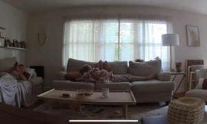 Goldendoodle Caught Slipping… Literally