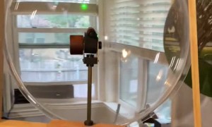 This is the most creative 360 picture portrait 