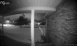 Don't Forget to De-Ice Your Stairs