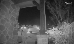 Delivery Driver Allegedly Steals Delivery Food