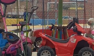 Dog Rides on Carousel