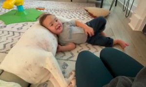 Teddy and Boomer Love to Snuggle