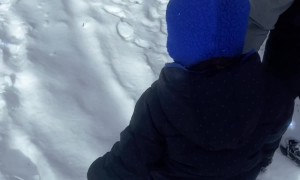 Michigan Family Builds an Igloo in the Backyard