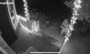 Icy Slip and Fall Puts Out Cigarette