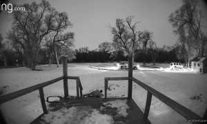 Doorbell Camera Catches Fall