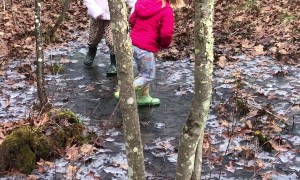 Dance Party on a Patch of Ice