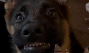 He’s a Little Odd but I Love Him