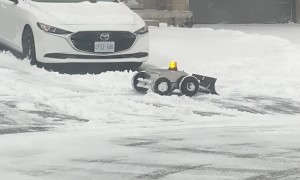 A Tiny Helper In Canadian Winter