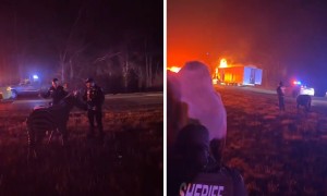 Police rescue circus animals from burning trailer