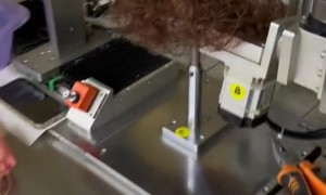 A Doll Receives A Full Head Of Hair