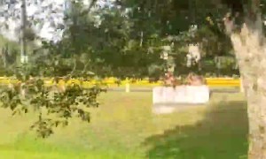 Sonic Speeding Into The Back Of A Car