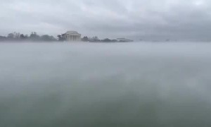 Dense fog hovers over D.C area 