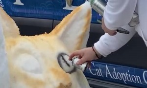 Buffalo Bills kicker Tyler Bass honored with a snow sculpture