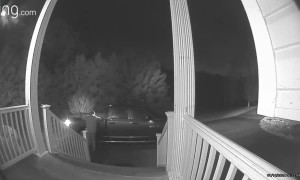 Doorbell Camera Catches Man Slipping on Icy Steps