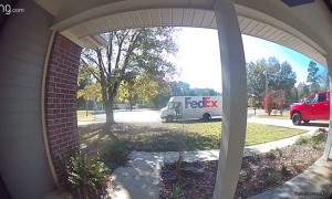 Chihuahua Chases After FedEx Driver