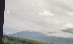 Falcon Swoops Close to Drone