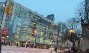 Adorable Rottweiler wants to go to the moon 