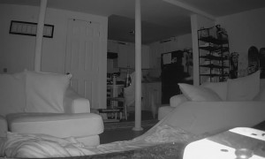 Cat Wants Attention From Sleeping Guests